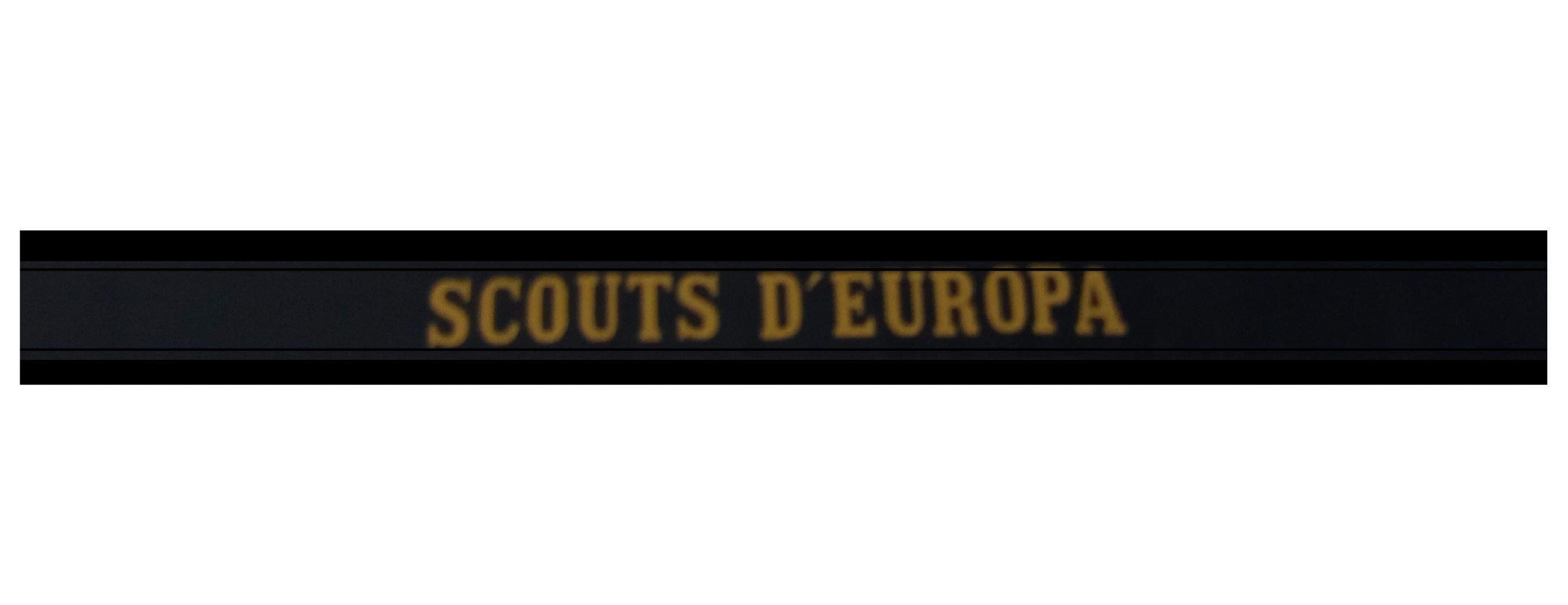 NAUTICAL SCOUTS OF EUROPE